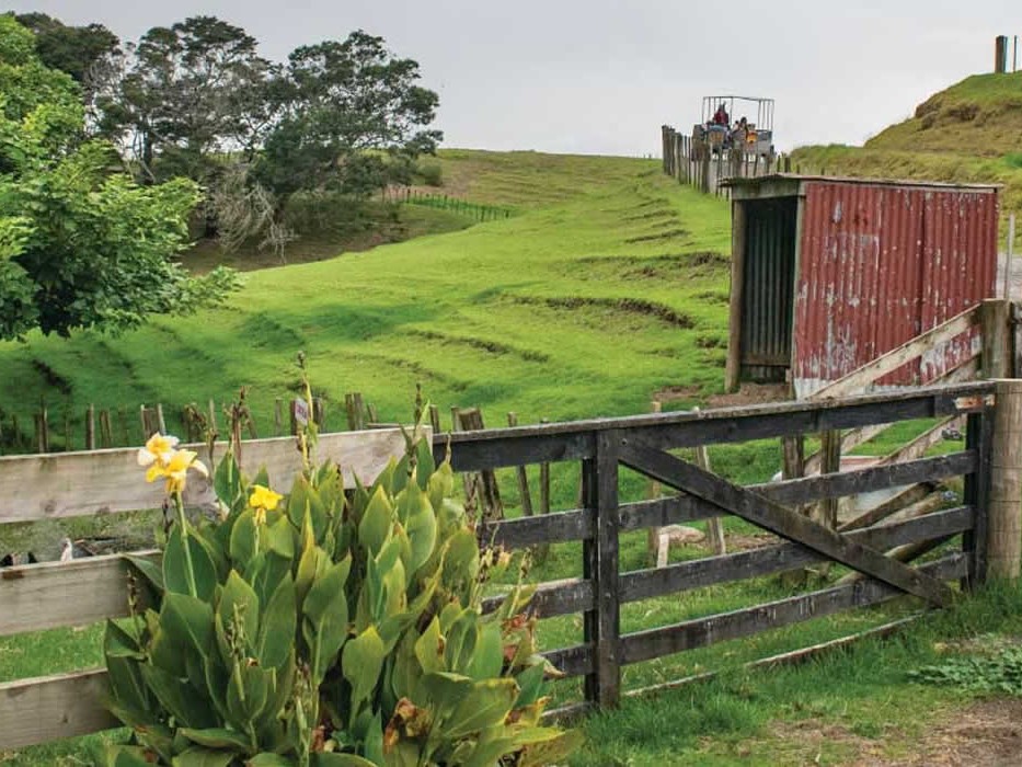 A wooden farm gate with green paddocks and the farm track behind