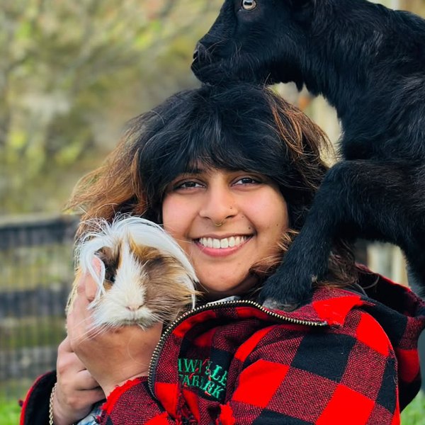 Saira